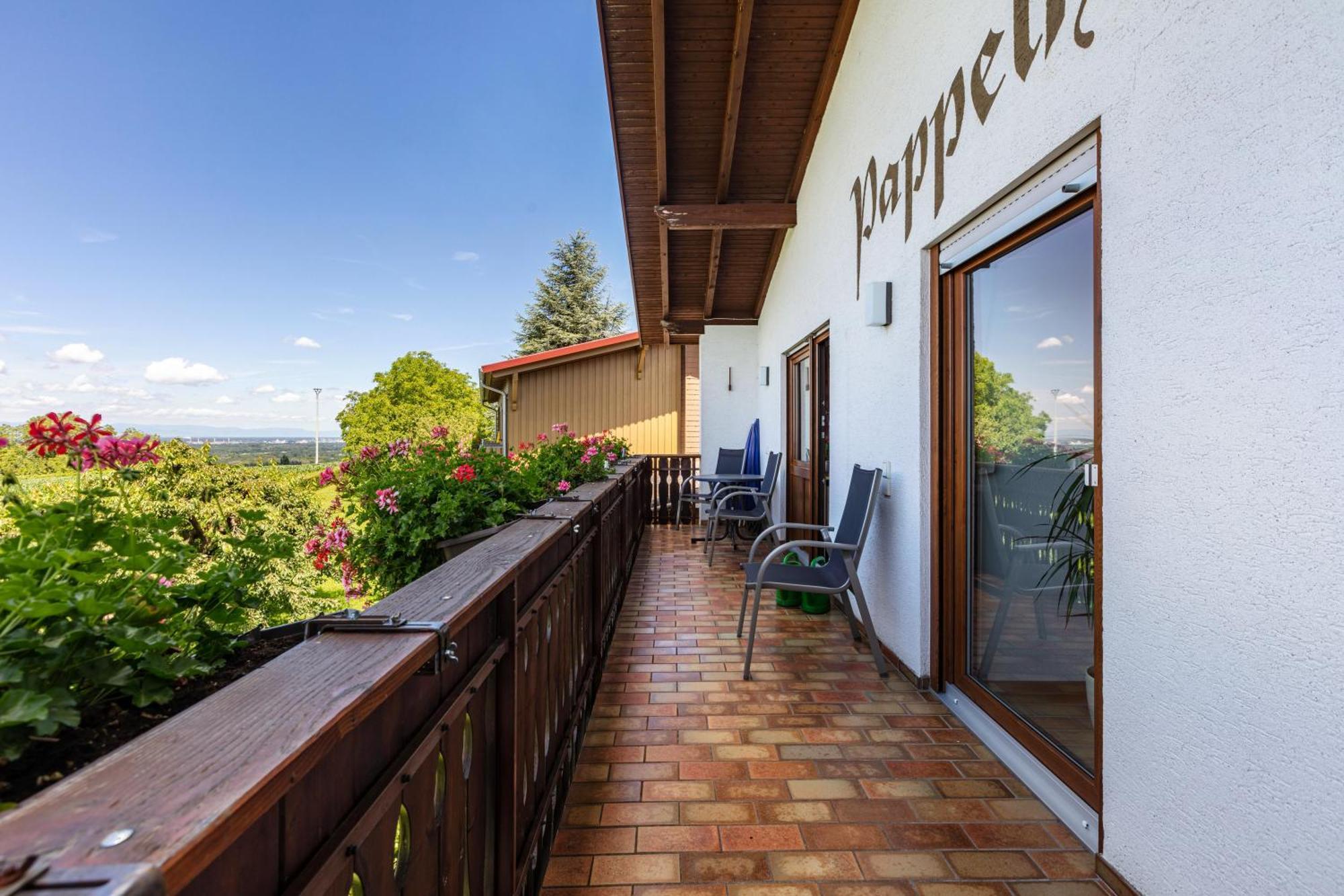 Appartement Pappelhof à Bad Bellingen Extérieur photo