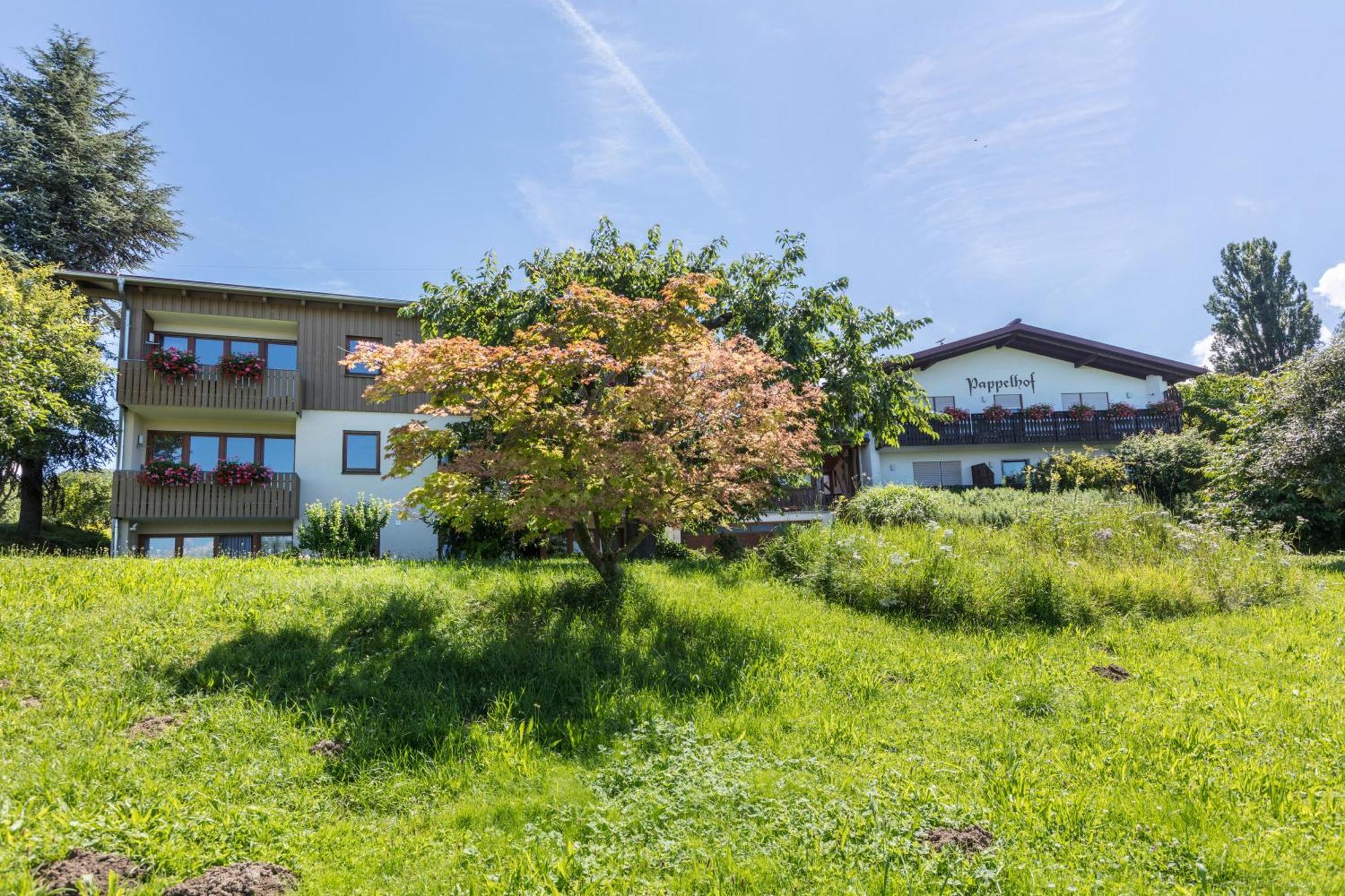 Appartement Pappelhof à Bad Bellingen Extérieur photo