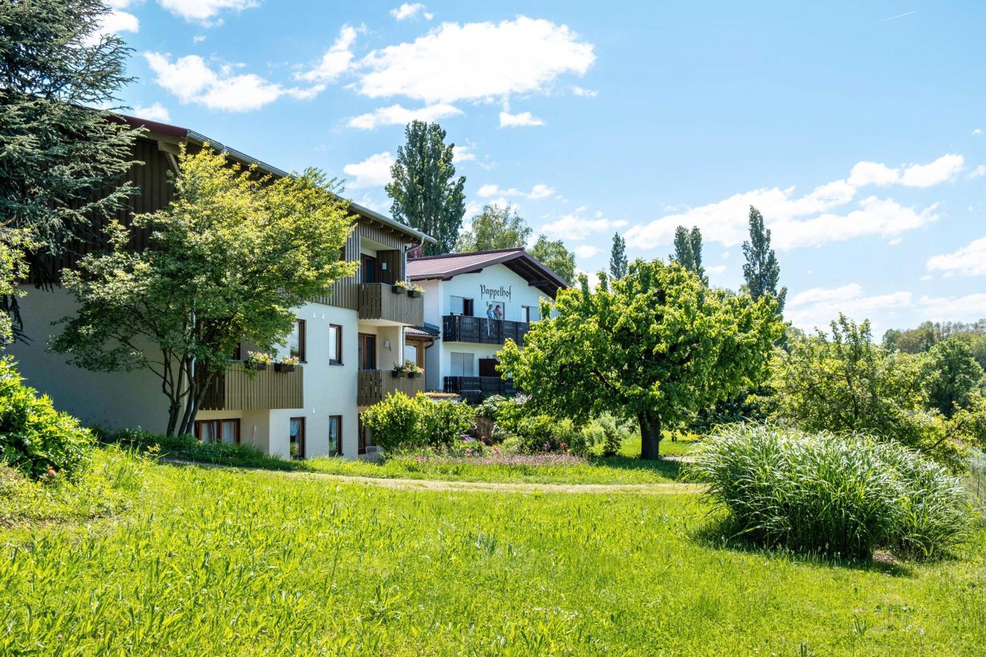 Appartement Pappelhof à Bad Bellingen Extérieur photo